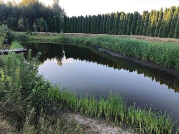 Фото номера Дом с 2 спальнями Дома для отпуска Domek na wsi nad jeziorem , prywatny staw г. Kamieńczyk Dezerta 11