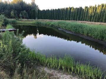 Фото номера Дом с 2 спальнями Дома для отпуска Domek na wsi nad jeziorem , prywatny staw г. Kamieńczyk Dezerta 21